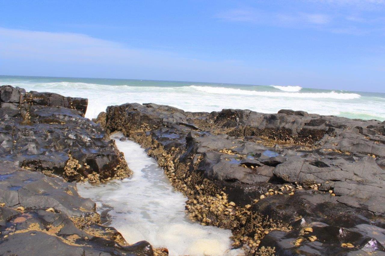 Silver Dolphin Holidays Daire Amanzimtoti Dış mekan fotoğraf