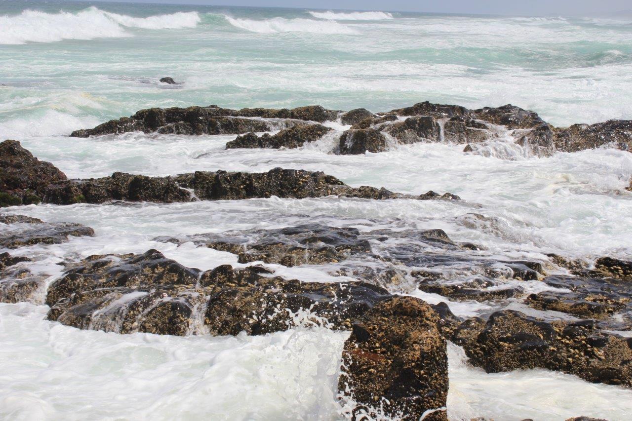 Silver Dolphin Holidays Daire Amanzimtoti Oda fotoğraf